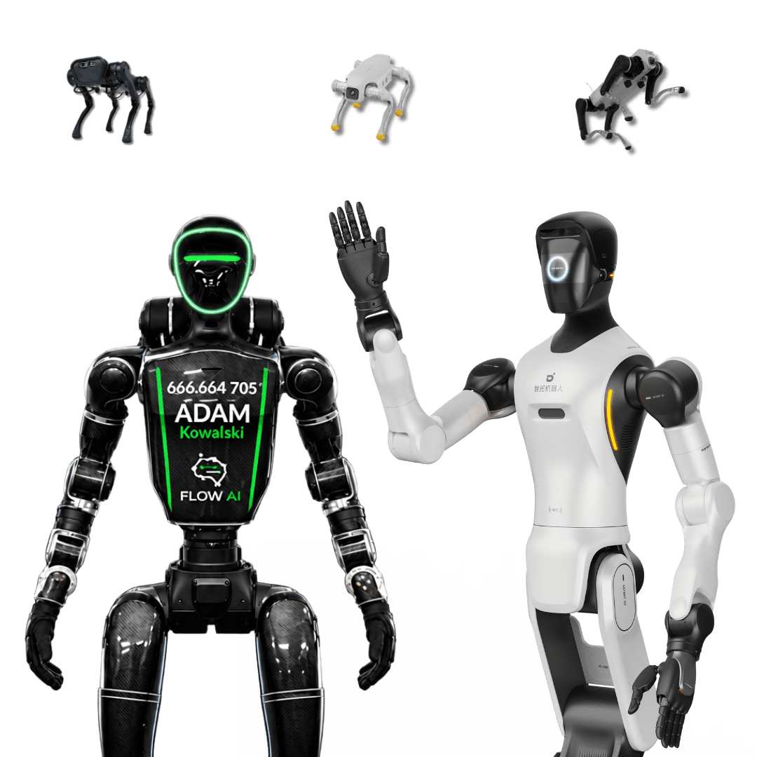 ROBOTY FLOW AI